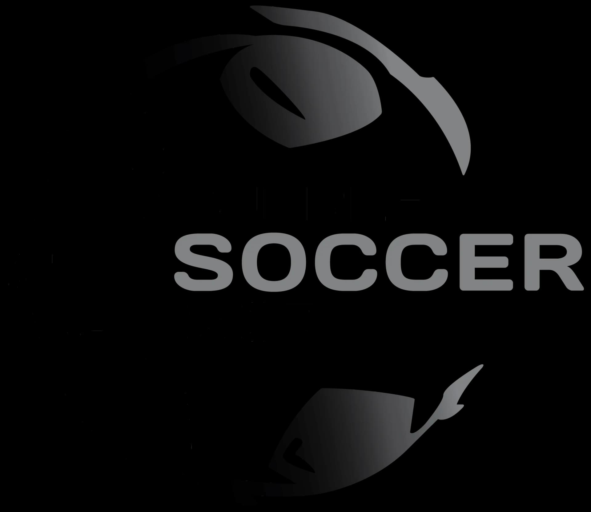 Bubble Soccer World